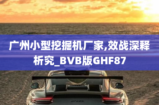 广州小型挖掘机厂家,效战深释析究_BVB版GHF87