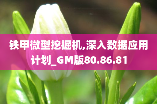 铁甲微型挖掘机,深入数据应用计划_GM版80.86.81