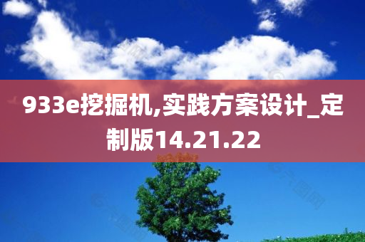 933e挖掘机,实践方案设计_定制版14.21.22