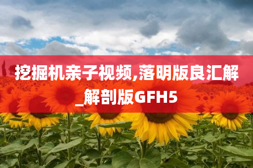 挖掘机亲子视频,落明版良汇解_解剖版GFH5