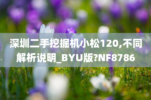 深圳二手挖掘机小松120,不同解析说明_BYU版?NF8786