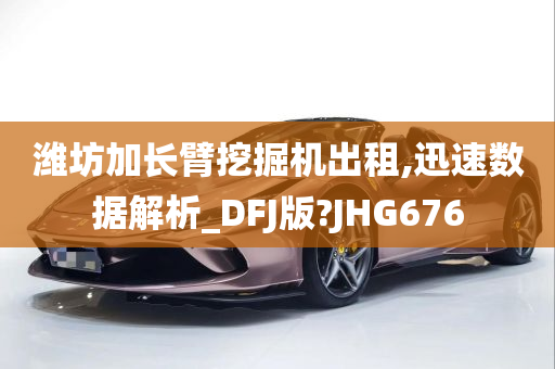 潍坊加长臂挖掘机出租,迅速数据解析_DFJ版?JHG676