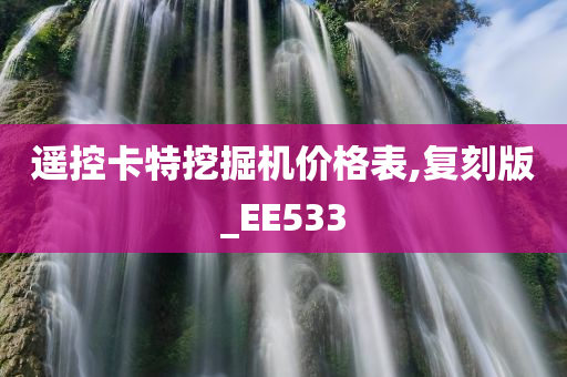 遥控卡特挖掘机价格表,复刻版_EE533