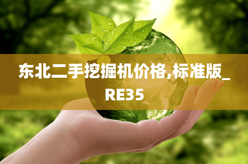 东北二手挖掘机价格,标准版_RE35