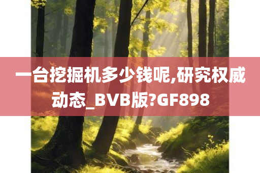 一台挖掘机多少钱呢,研究权威动态_BVB版?GF898