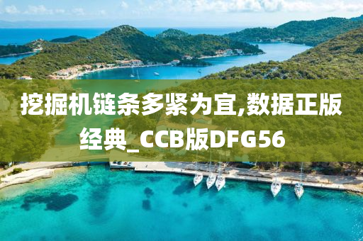 挖掘机链条多紧为宜,数据正版经典_CCB版DFG56