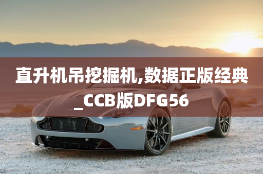 直升机吊挖掘机,数据正版经典_CCB版DFG56