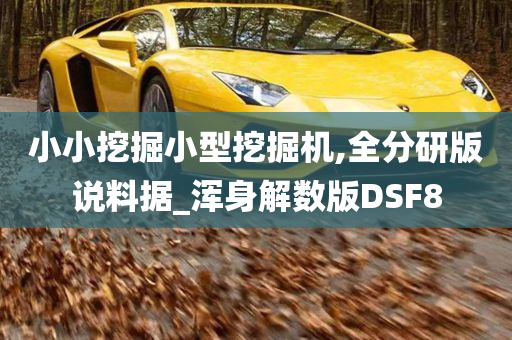 小小挖掘小型挖掘机,全分研版说料据_浑身解数版DSF8