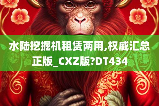 水陆挖掘机租赁两用,权威汇总正版_CXZ版?DT434