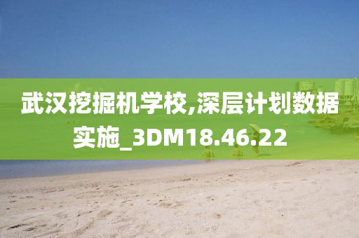 武汉挖掘机学校,深层计划数据实施_3DM18.46.22