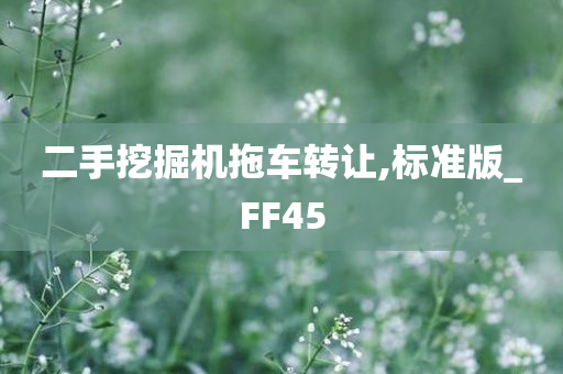 二手挖掘机拖车转让,标准版_FF45