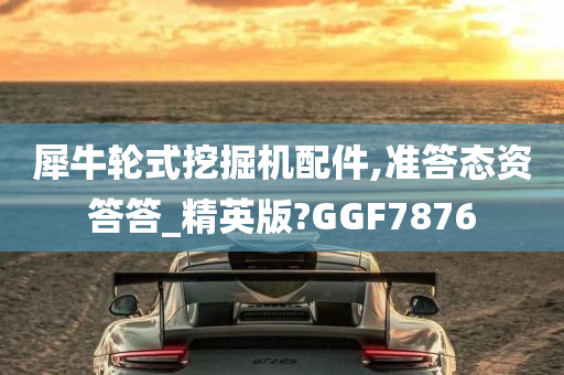 犀牛轮式挖掘机配件,准答态资答答_精英版?GGF7876