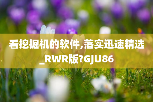 看挖掘机的软件,落实迅速精选_RWR版?GJU86