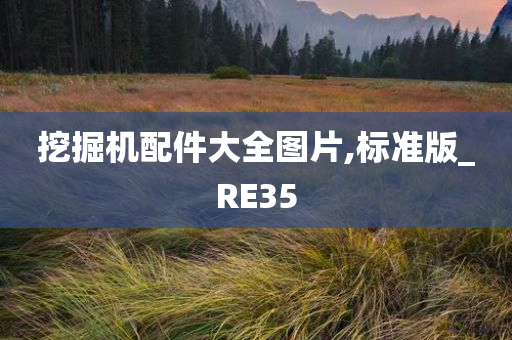 挖掘机配件大全图片,标准版_RE35