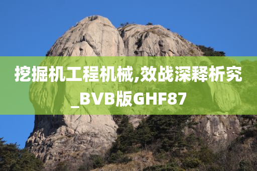 挖掘机工程机械,效战深释析究_BVB版GHF87