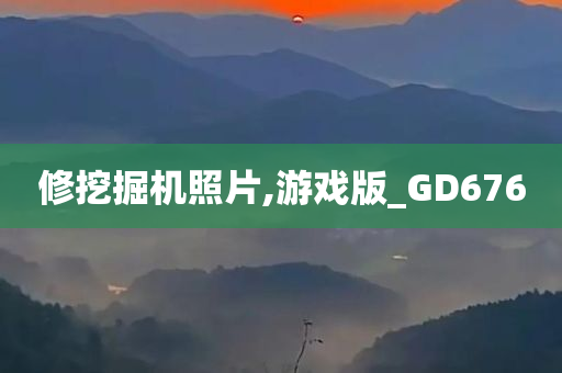 修挖掘机照片,游戏版_GD676