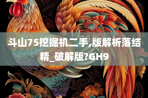 斗山75挖掘机二手,版解析落结精_破解版?GH9