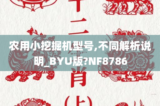 农用小挖掘机型号,不同解析说明_BYU版?NF8786