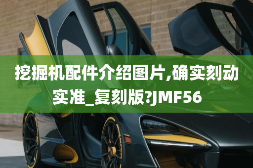 挖掘机配件介绍图片,确实刻动实准_复刻版?JMF56