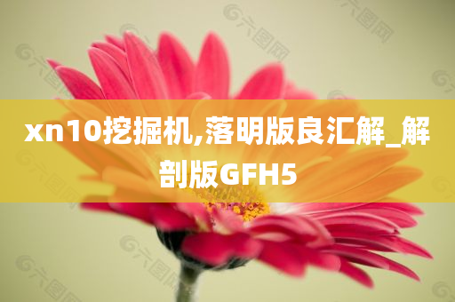 xn10挖掘机,落明版良汇解_解剖版GFH5