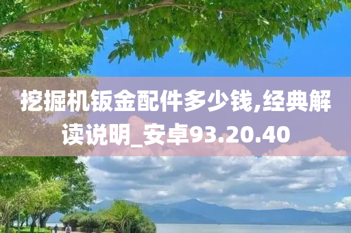 挖掘机钣金配件多少钱,经典解读说明_安卓93.20.40