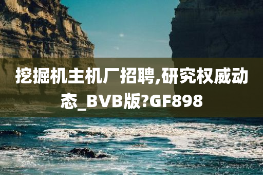 挖掘机主机厂招聘,研究权威动态_BVB版?GF898