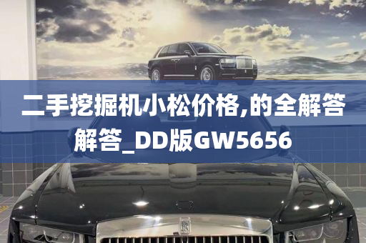 二手挖掘机小松价格,的全解答解答_DD版GW5656