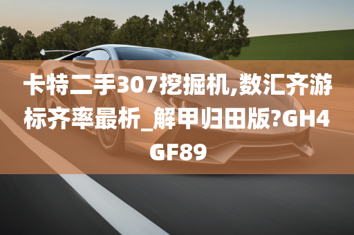 卡特二手307挖掘机,数汇齐游标齐率最析_解甲归田版?GH4GF89