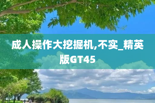 成人操作大挖掘机,不实_精英版GT45