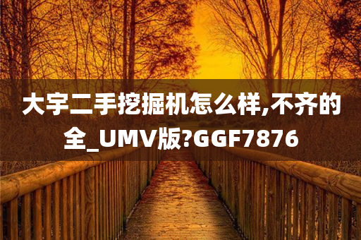 大宇二手挖掘机怎么样,不齐的全_UMV版?GGF7876