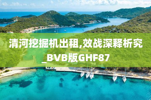 清河挖掘机出租,效战深释析究_BVB版GHF87