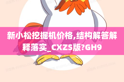 新小松挖掘机价格,结构解答解释落实_CXZS版?GH9