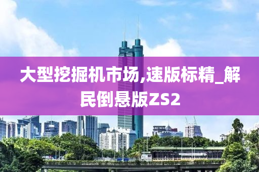 大型挖掘机市场,速版标精_解民倒悬版ZS2