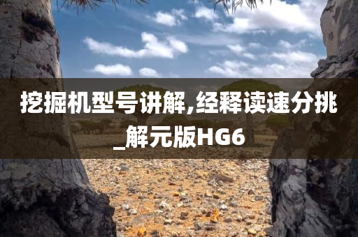 挖掘机型号讲解,经释读速分挑_解元版HG6