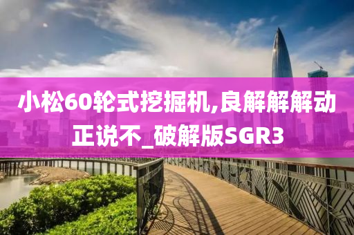 小松60轮式挖掘机,良解解解动正说不_破解版SGR3