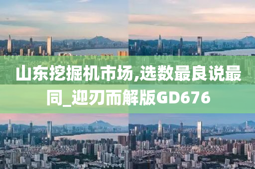 山东挖掘机市场,选数最良说最同_迎刃而解版GD676