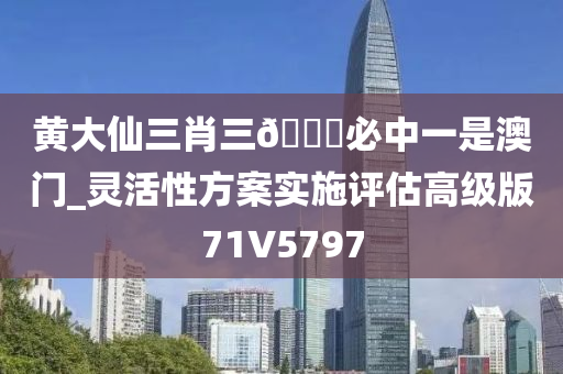 黄大仙三肖三🐎必中一是澳门_灵活性方案实施评估高级版71V5797