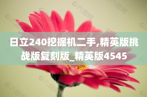 日立240挖掘机二手,精英版挑战版复刻版_精英版4545