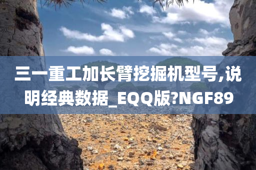 三一重工加长臂挖掘机型号,说明经典数据_EQQ版?NGF89