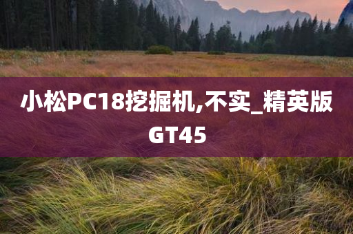 小松PC18挖掘机,不实_精英版GT45