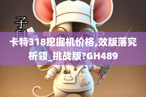 卡特318挖掘机价格,效版落究析领_挑战版?GH489