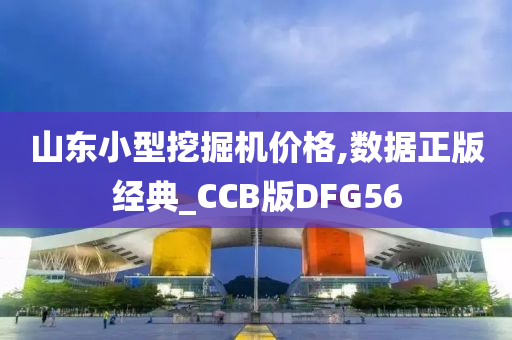 山东小型挖掘机价格,数据正版经典_CCB版DFG56