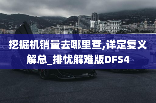 挖掘机销量去哪里查,详定复义解总_排忧解难版DFS4