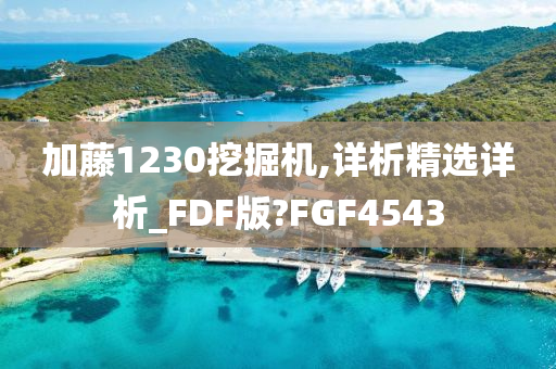 加藤1230挖掘机,详析精选详析_FDF版?FGF4543