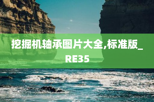 挖掘机轴承图片大全,标准版_RE35