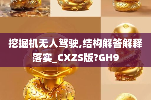 挖掘机无人驾驶,结构解答解释落实_CXZS版?GH9