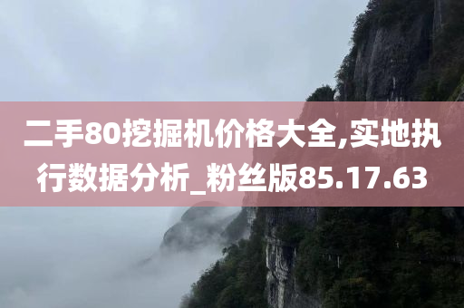 二手80挖掘机价格大全,实地执行数据分析_粉丝版85.17.63