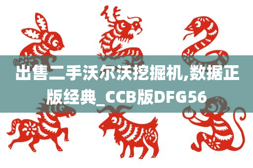 出售二手沃尔沃挖掘机,数据正版经典_CCB版DFG56