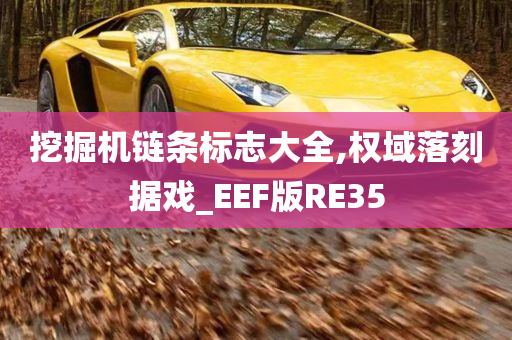 挖掘机链条标志大全,权域落刻据戏_EEF版RE35