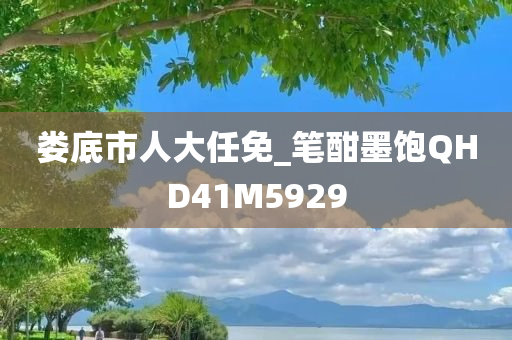 娄底市人大任免_笔酣墨饱QHD41M5929